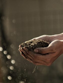bokeh photography of person carrying soil